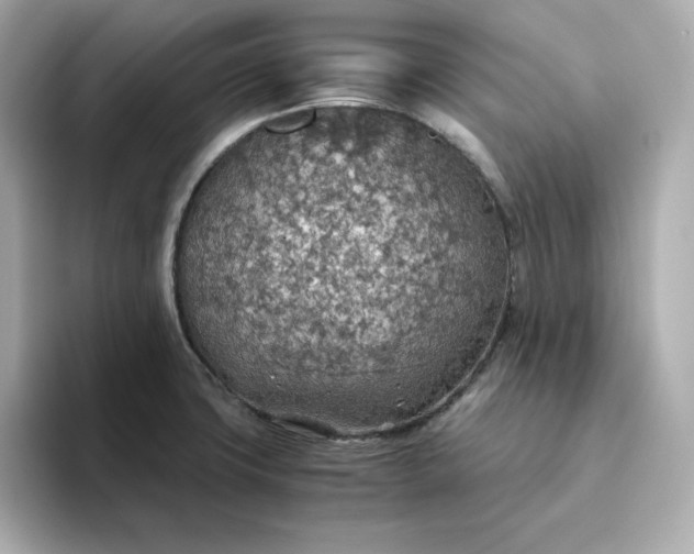 X0000093441427200710261031