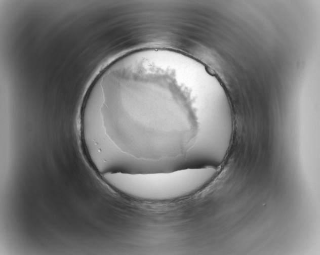 X0000093441428200710261031