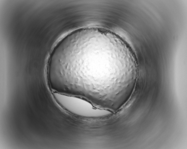 X0000093441429200710261031