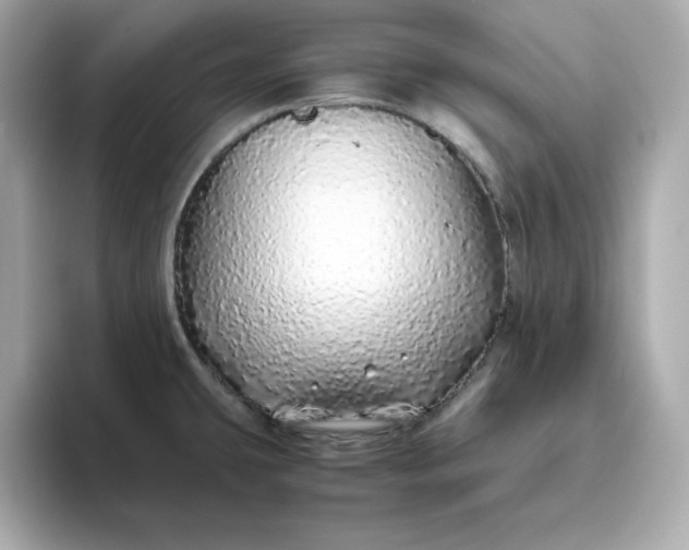 X0000093441431200710261031