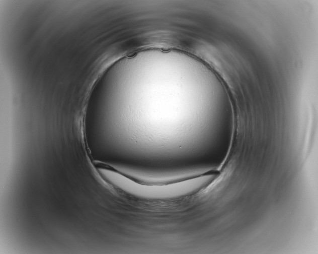 X0000093441433200710261031