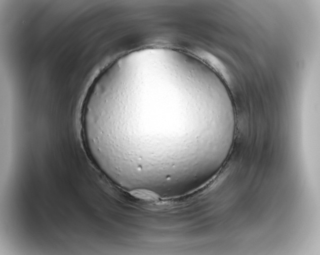 X0000093441435200710261031