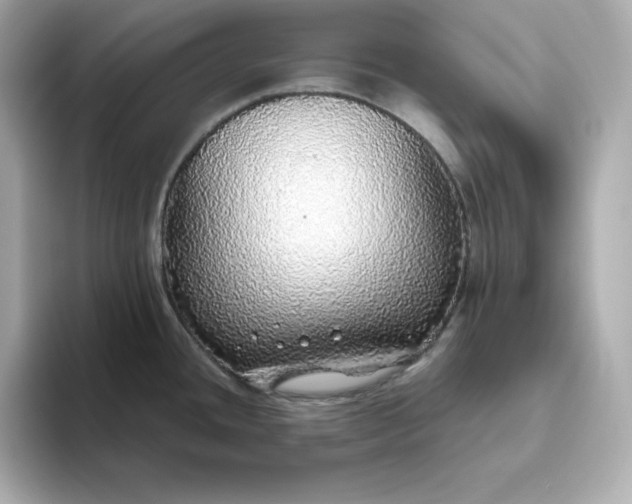 X0000093441436200710261031