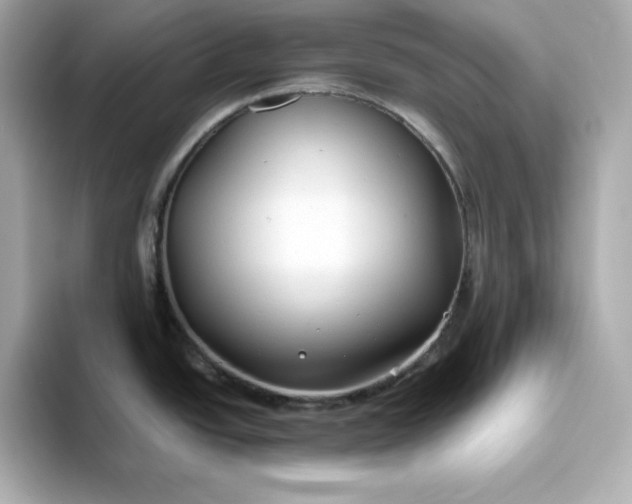 X0000093441438200710261031