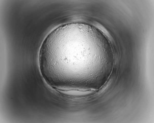 X0000093441439200710261031