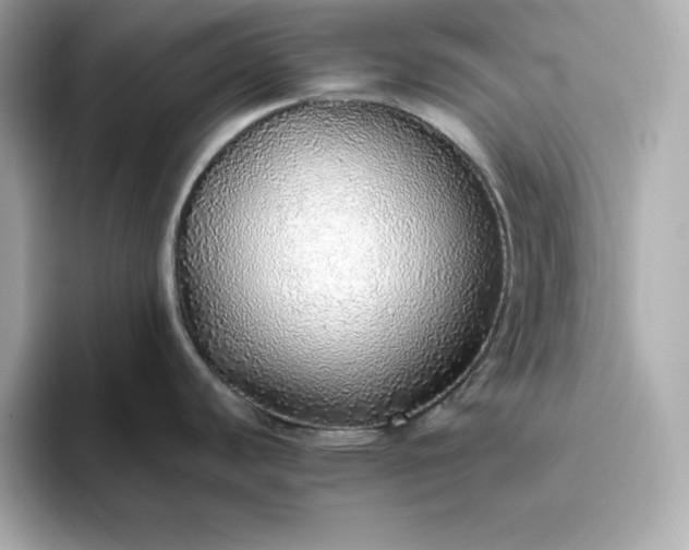 X0000093441440200710261031