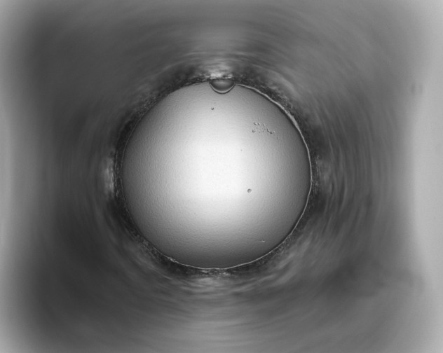 X0000093441442200710261030
