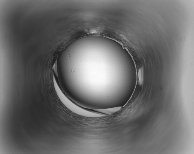 X0000093441443200710261030
