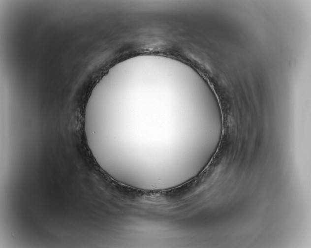 X0000093441447200710261030