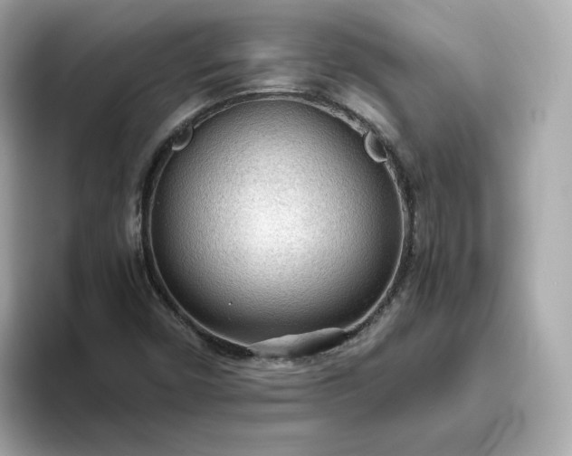 X0000093441450200710261030