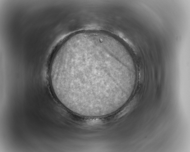 X0000093441454200710261030