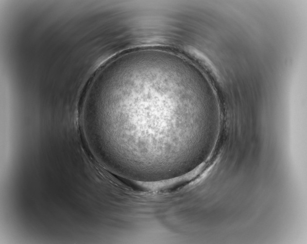 X0000093441457200710261030