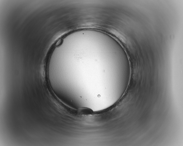 X0000093441458200710261030