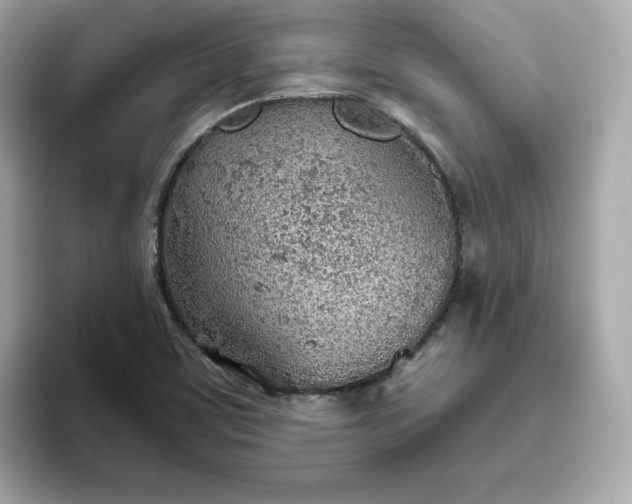 X0000093441459200710261030