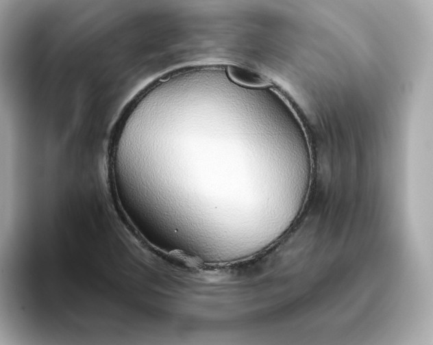 X0000093441460200710261030