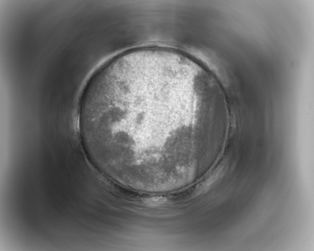 X0000093441462200710261030