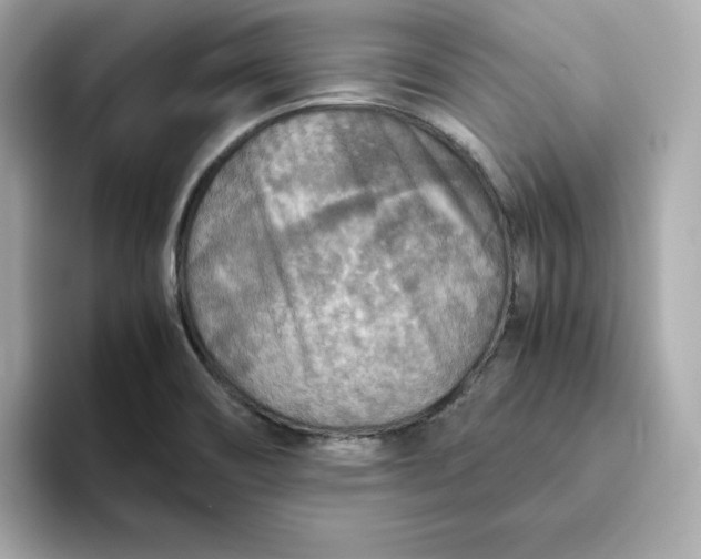 X0000093441466200710261030