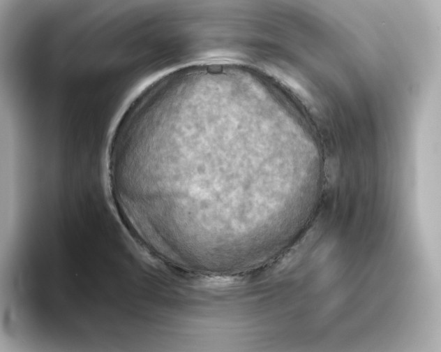 X0000093441470200710261030