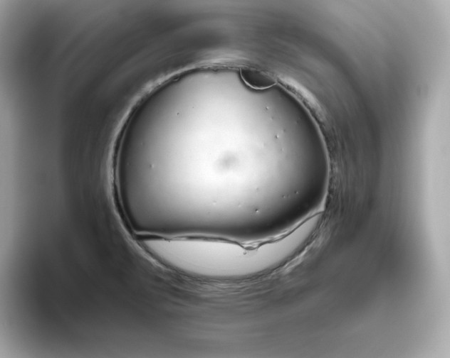 X0000093441471200710261030