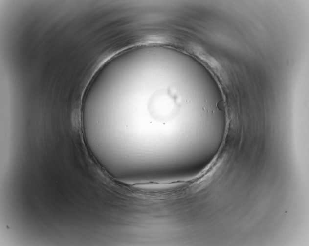 X0000093441473200710261030