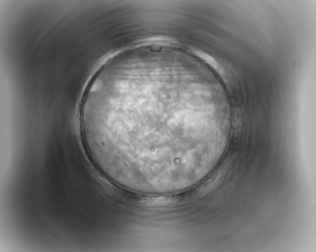 X0000093441474200710261030