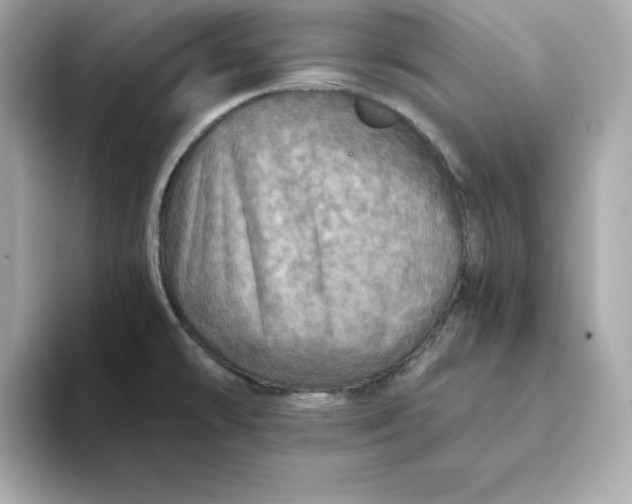 X0000093441478200710261030