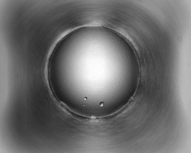 X0000093441480200710261030