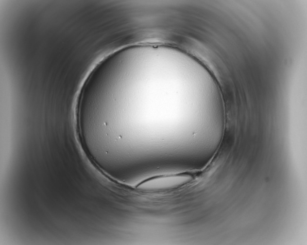 X0000093441483200710261030
