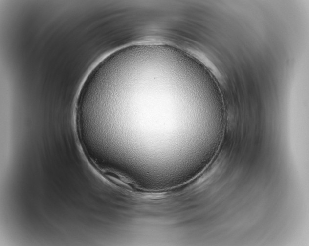 X0000093441484200710261030