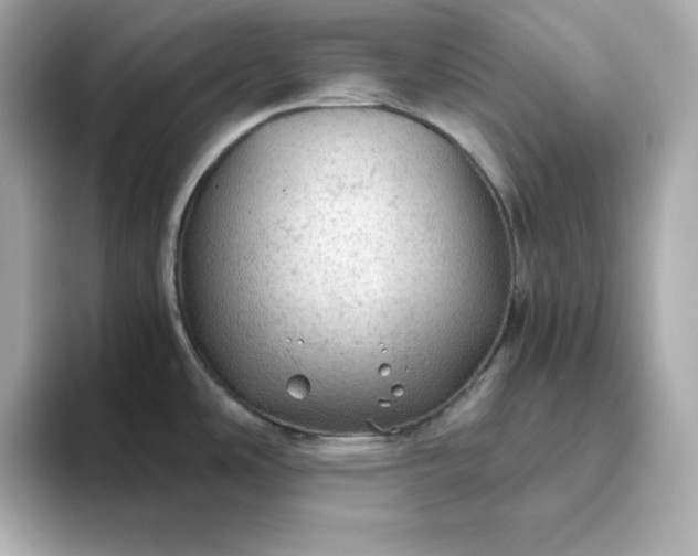 X0000093441486200710261030