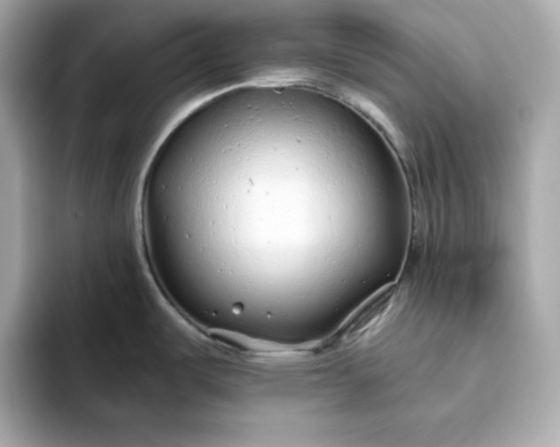 X0000093441487200710261030