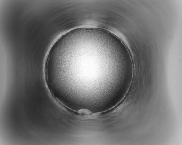 X0000093441488200710261030