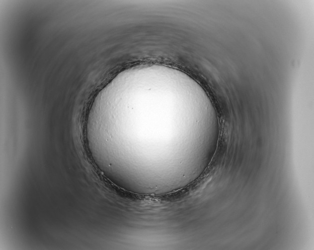 X0000093441489200710261029