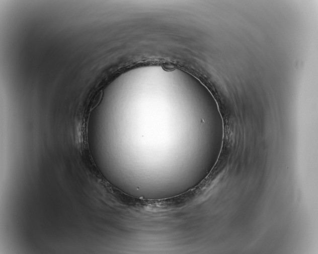 X0000093441490200710261029