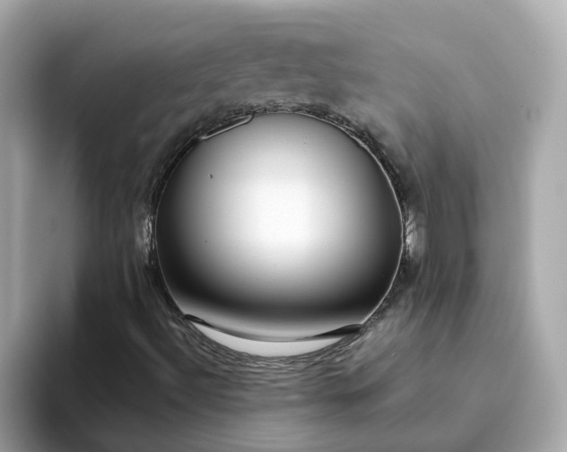 X0000093441492200710261029