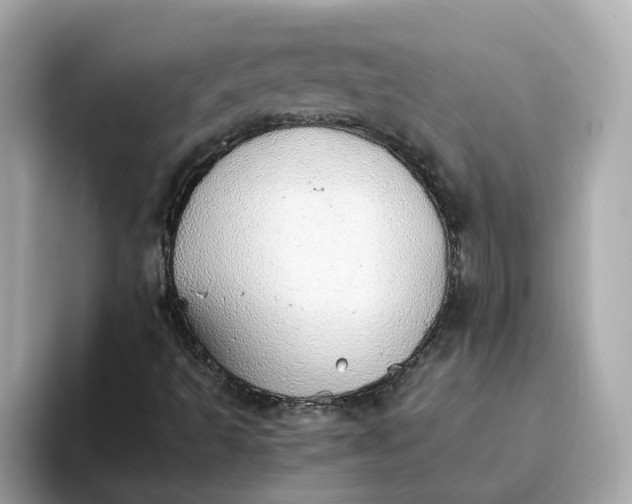 X0000093441493200710261029