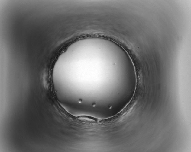 X0000093441494200710261029