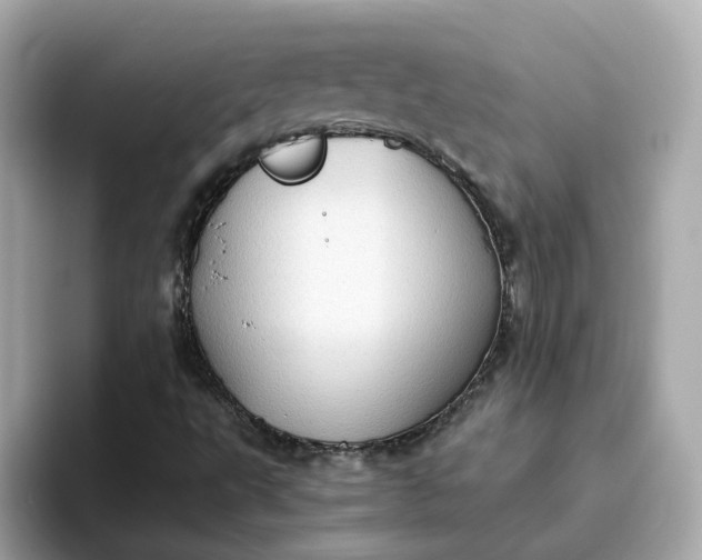 X0000093441495200710261029