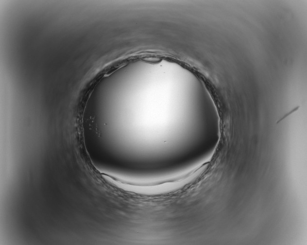 X0000093441496200710261029