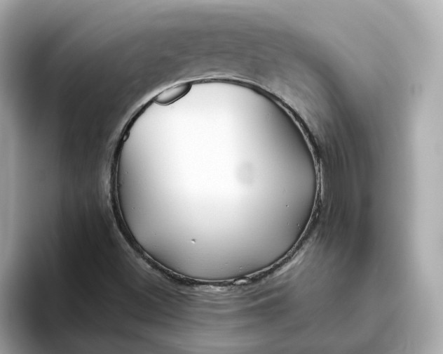 X0000093441500200710261029