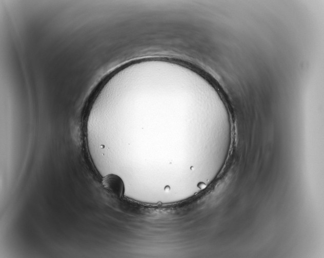 X0000093441501200710261029