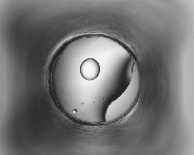 X0000093441502200710261029