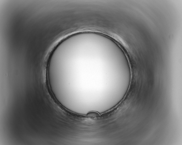 X0000093441504200710261029