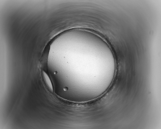X0000093441505200710261029