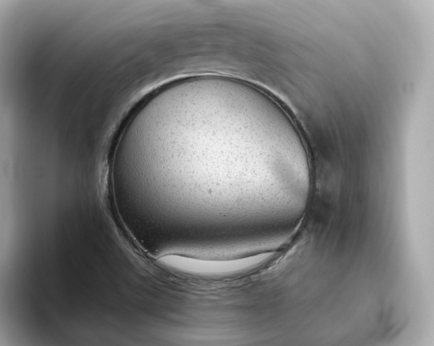 X0000093441507200710261029