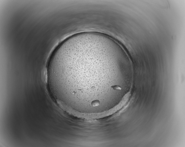 X0000093441509200710261029