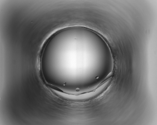 X0000093441510200710261029