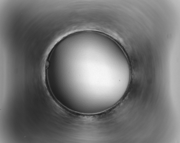 X0000093441512200710261029