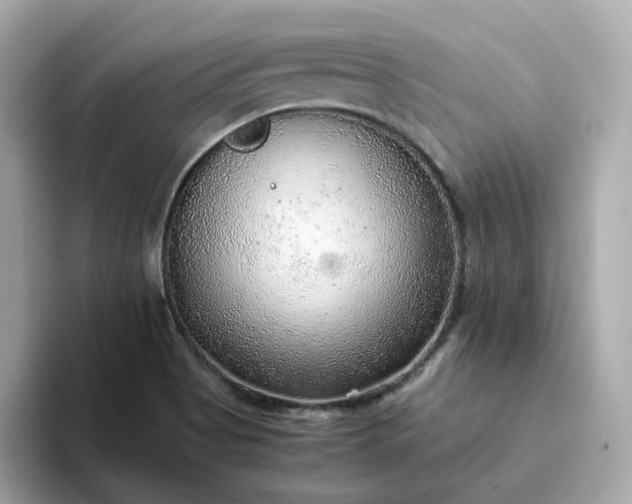 X0000093441513200710261029