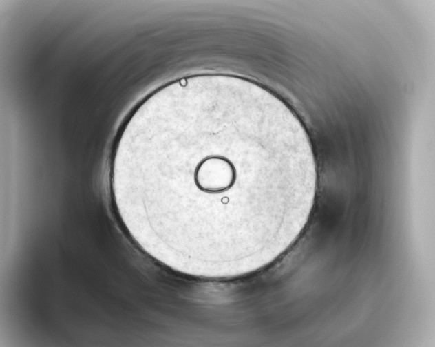 X0000093441514200710261029